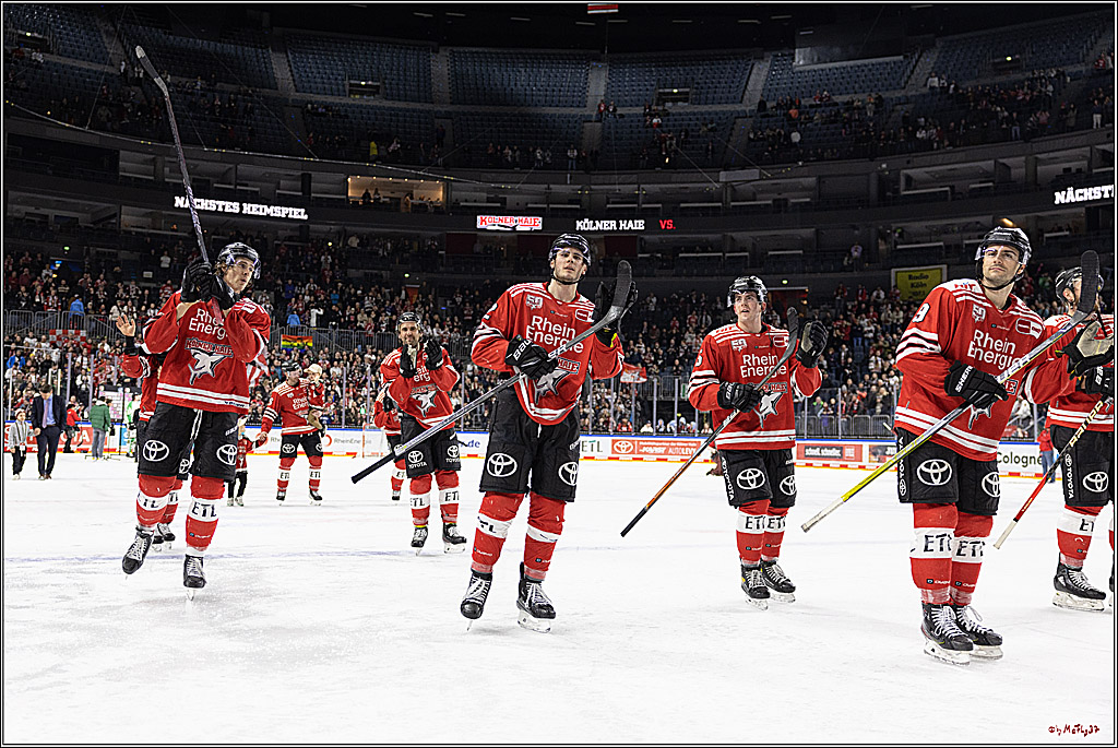 PENNY DEL;  Koelner Haie - Bietigheim Steelers; Koeln, 22.01.2023
